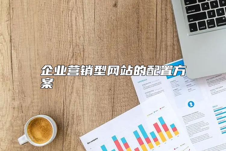 企業(yè)營銷型網(wǎng)站的配置方案